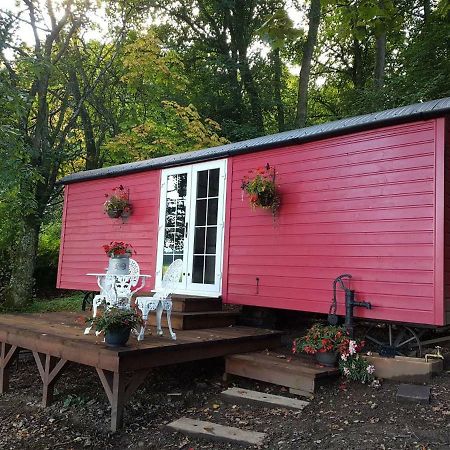 Borthwickbrae Shepherd'S Hut Hawick Eksteriør bilde